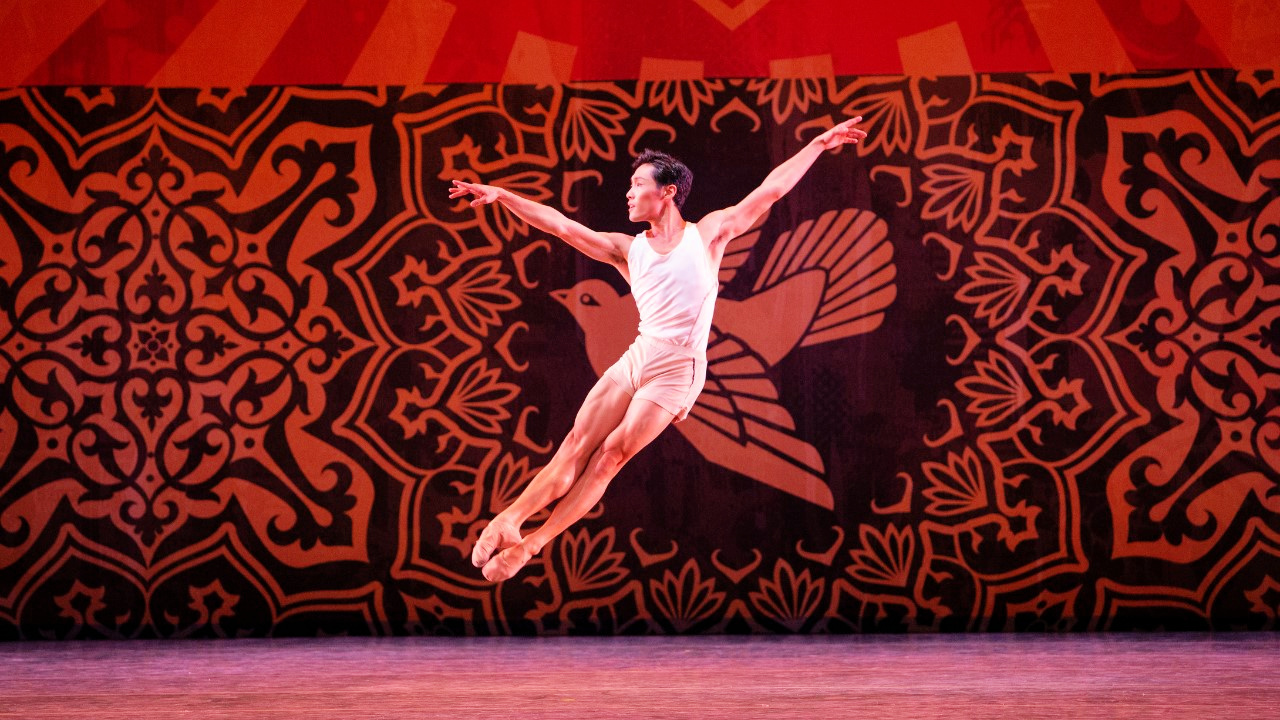 Weekend things to do: Miami City Ballet, Bark Back Benefit, ‘Twilight in Concert,’ Indie Craft Bazaar