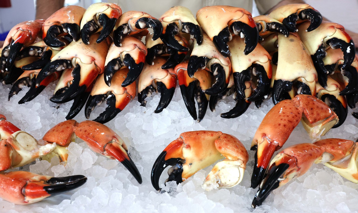 ‘It’s like forbidden fruit’: Florida’s stone crab season kicks off Wednesday. How much will claws cost?